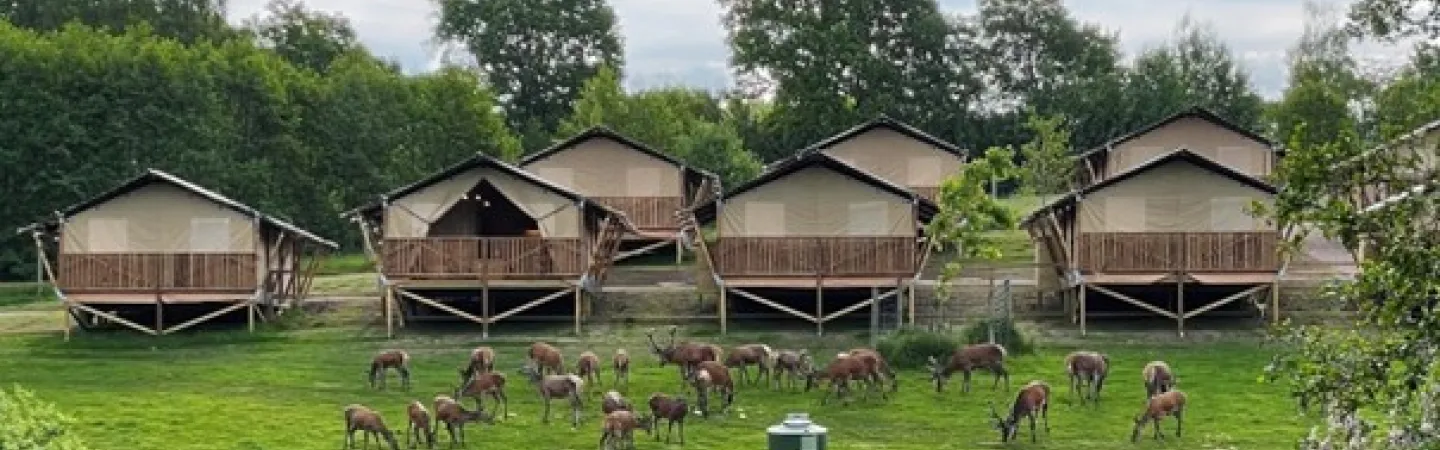 Skånes Djurpark